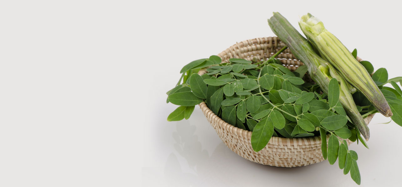Why Moringa Is The New ‘It’ Beauty Ingredient